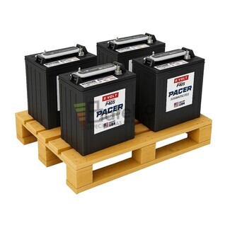 Pack 4 Baterias TROJAN PACER P-105 | 6 Voltios 244 Amperios